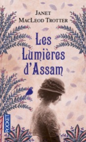 https://www.pocket.fr/tous-nos-livres/romans/romans-feminins/les_lumieres_dassam-9782266262040/